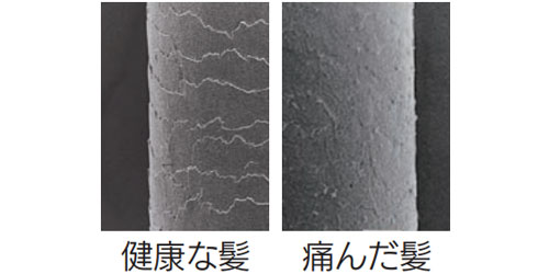 カクダイシャワーヘッド：浄水機能