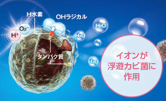 リンナイ食洗機：プラズマクラスター