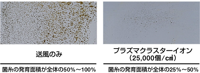 付着カビ菌の増殖抑制効果