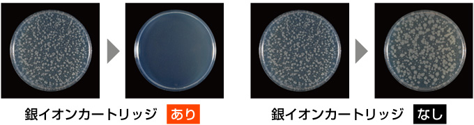 銀イオンカートリッジの除菌効果