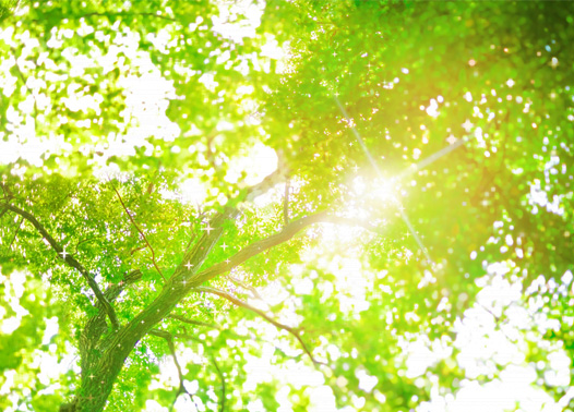 ハウステック：軟水器アクアソフト：環境にやさしく、節約にもつながる