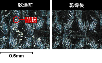 花粉中のアレグ物質を軽減