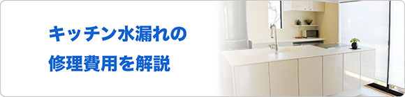 キッチンの水漏れの修理費用を解説