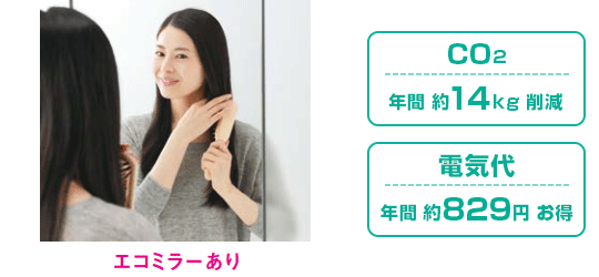 Vシリーズ：エコミラー