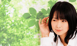 3.速乾&静かな運転音