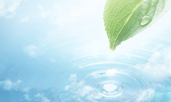 節水はエコに、そして節約に