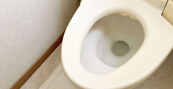 便座サイズ 標準的な大きさのレギュラーサイズ