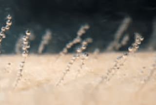 お肌をさするような、穏やかな気泡水流でリラックス